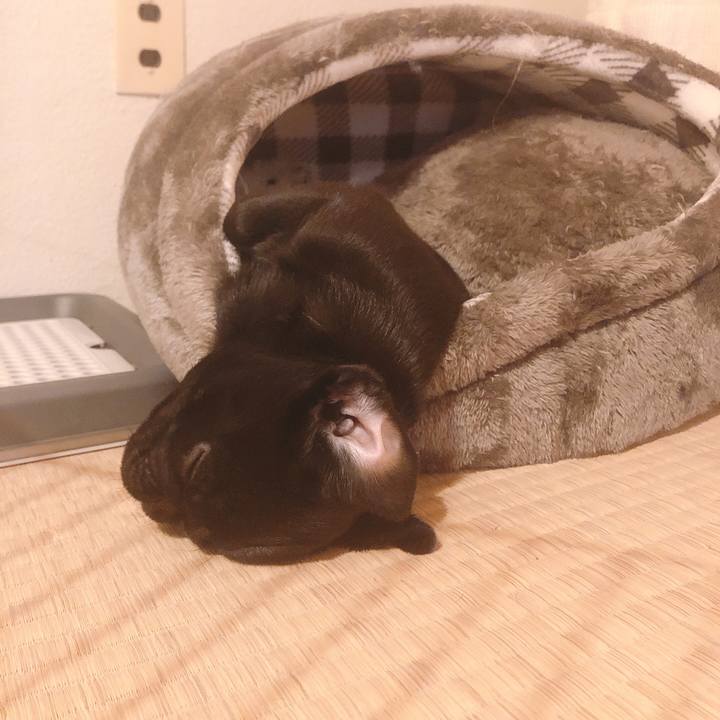 2c78ff94 2af3 406c af13 160872f1ec5c 1588250839610