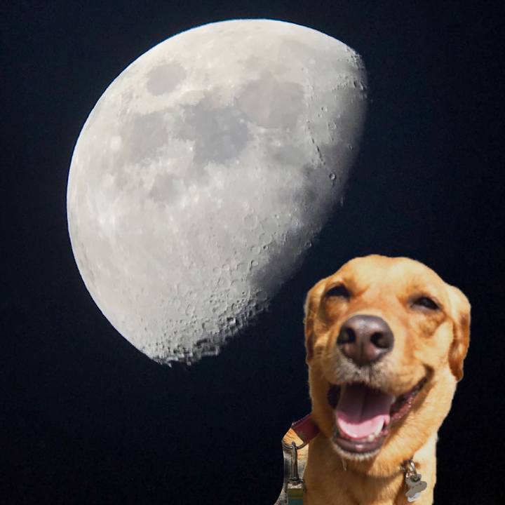 2c7911ae 7fd3 460e 9623 c9c217ae9577 1529717526151