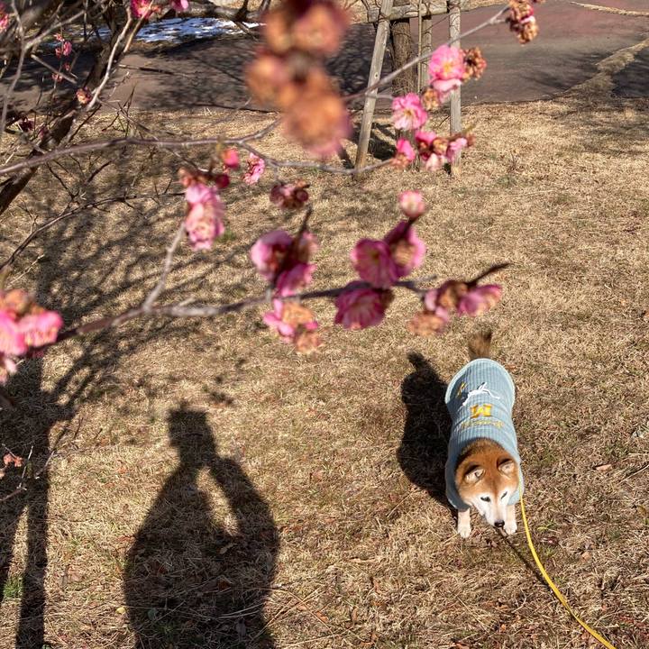 2c79174d 3964 465c 97b3 177a079deea0 1770686925548