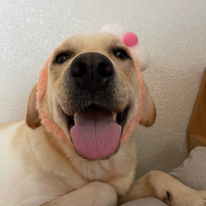 2c791f0c 4dda 4edf 891e c4f68e0edc81 1656462958508