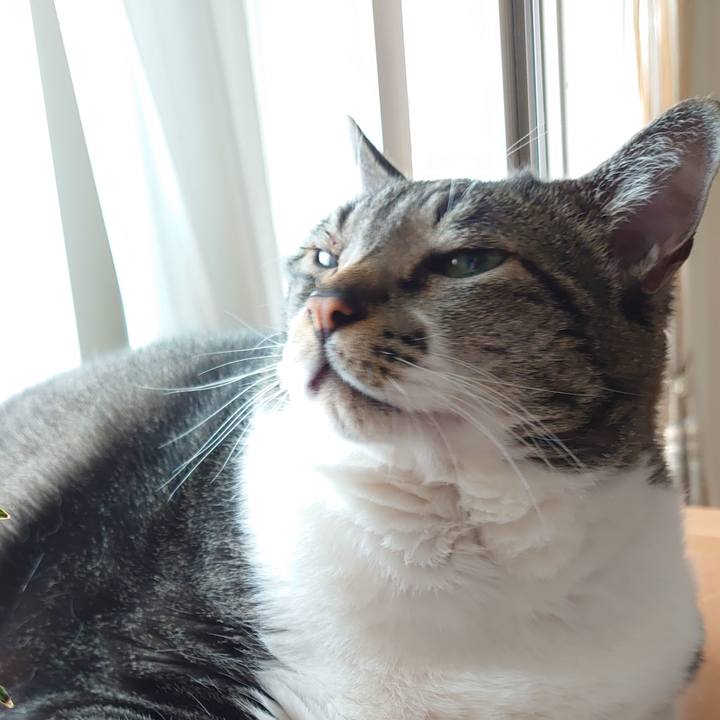 2c792a09 5b50 4308 b9a3 4e411dc3bc23 1633740885227