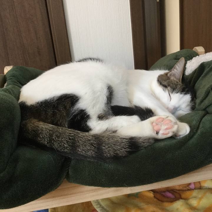 2c795076 3912 4d7e bb02 a7a5e9df711d 1520134163143