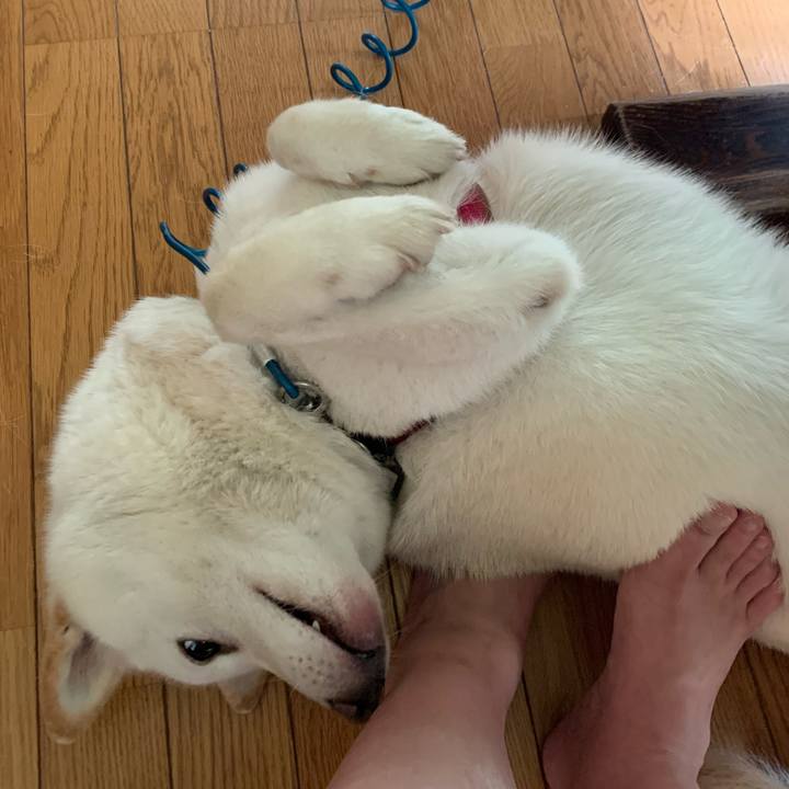 2c797c33 5001 4ac5 aeac f93c9fc39e74 1595131544809