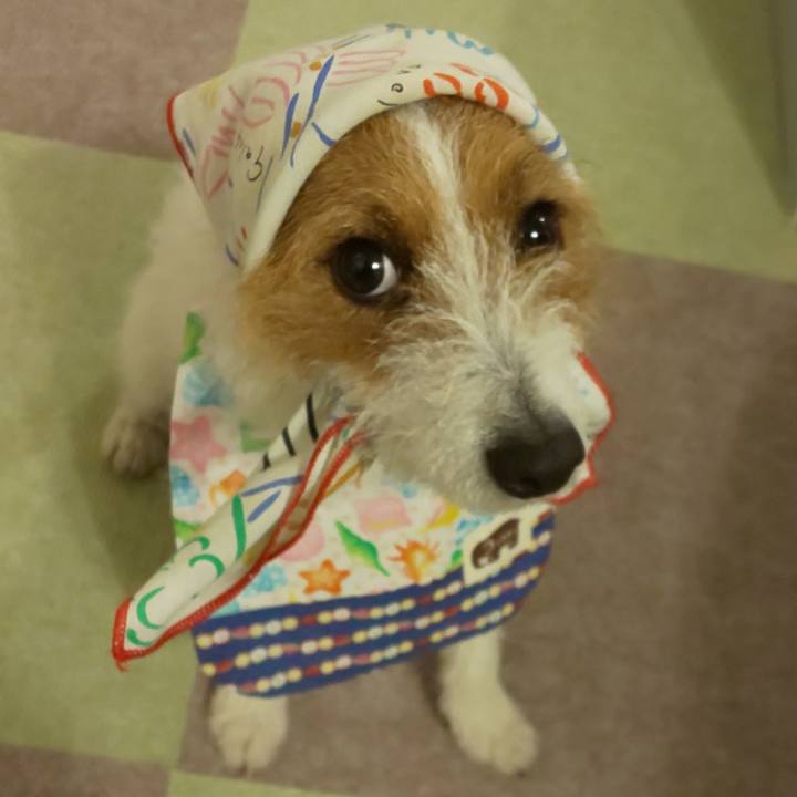 2c797eaf 3f12 43a1 bc3f 12acb901c50b 1552987808060