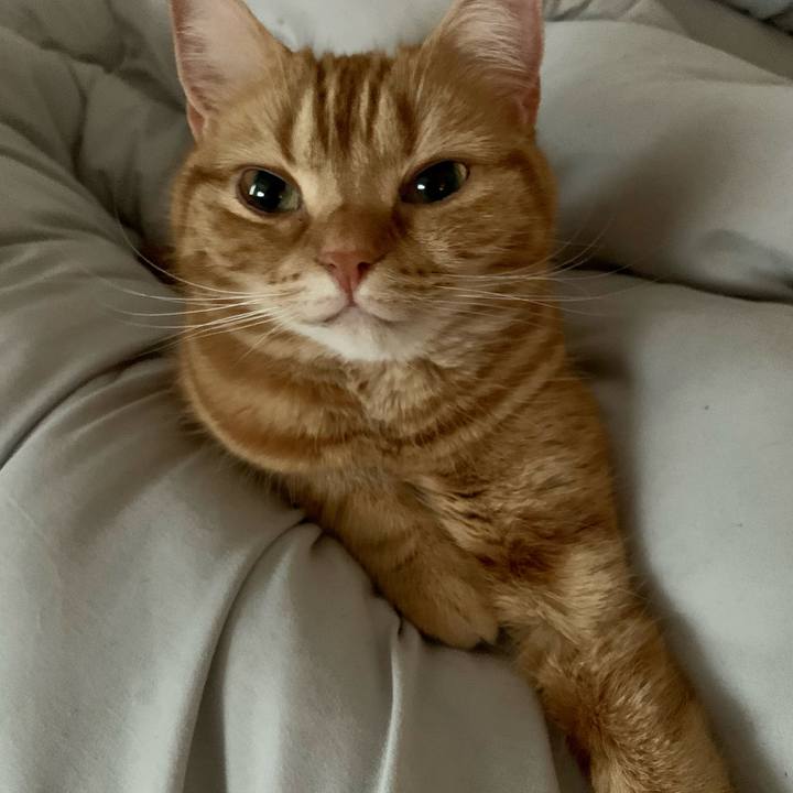 2c7984b0 beee 4be1 b99d 5b051897b83c 1613429750671