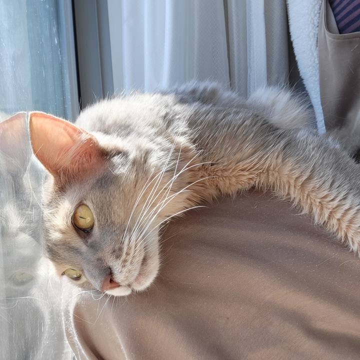 2c79ba84 62b3 4f0e 9102 8b3aff5e85b9 1648122989099