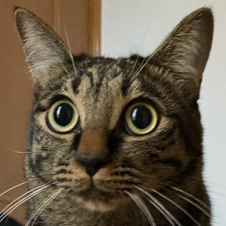 2c79be9e 2c65 43c3 8abe d37080f7a945 1635419713860