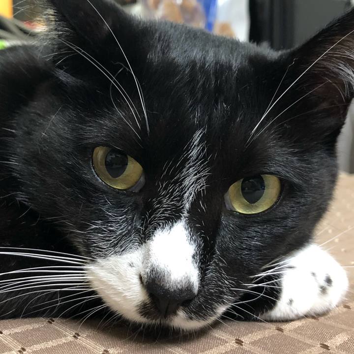 2c79c17e dfc8 4ba6 910a d05ea2e25208 1630204697583