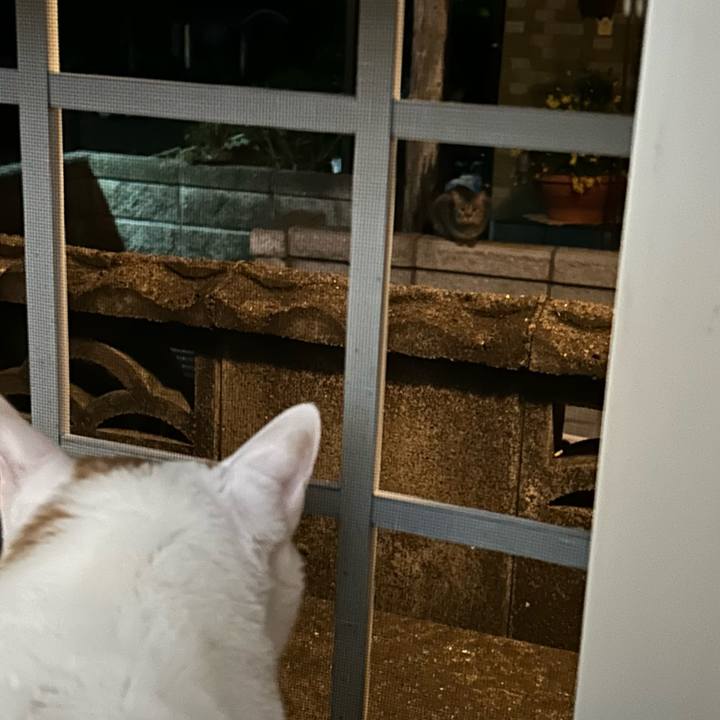 2c79d0c9 2f2b 4203 8087 5c71ace8b03c 1681302219990