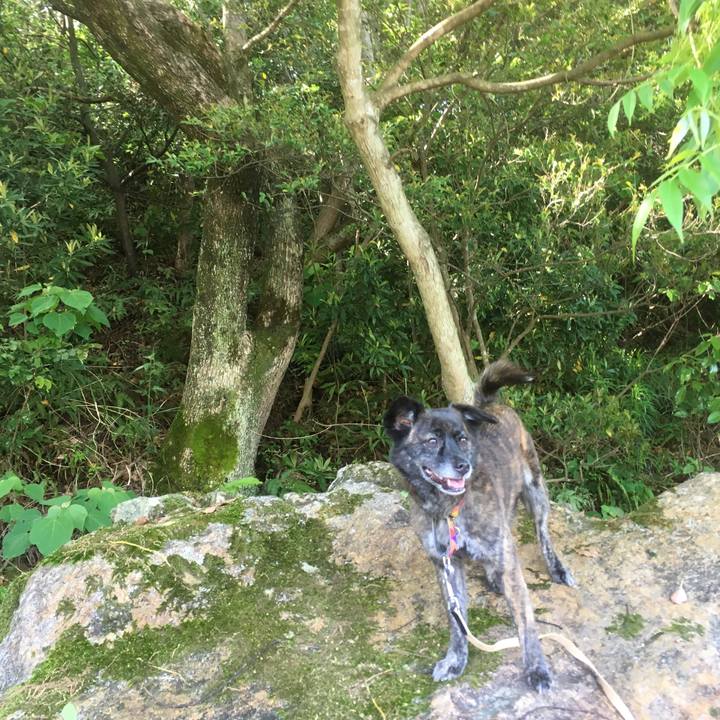 2c79d72d 55b2 432e 9675 9a910dd31455 1527639433207