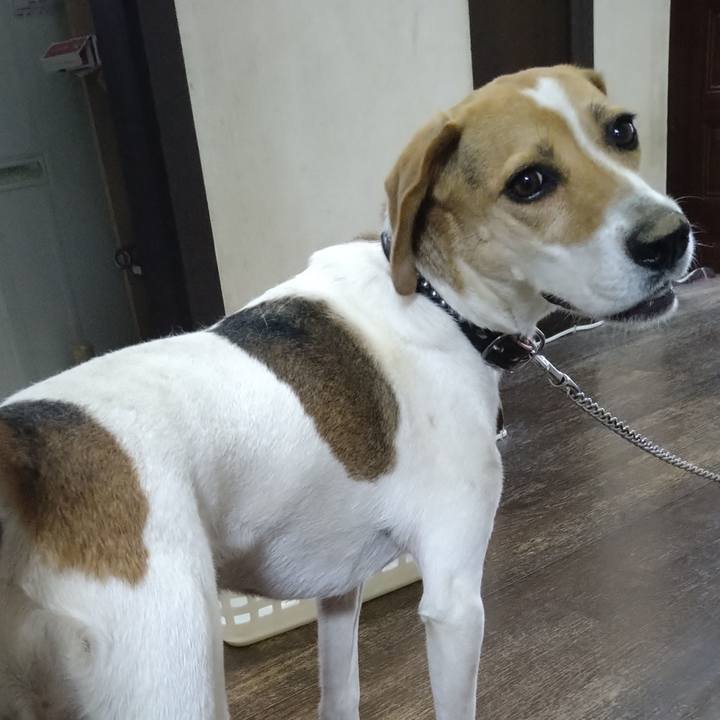 2c79fcf4 c3ce 4afa 92a4 76107324cfe4 1626240027781