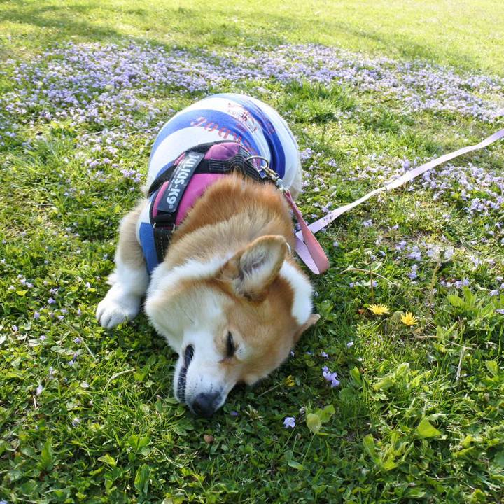 2c7a13b4 e291 4cd3 8b7d 5c2dfbfcd8b8 1682830948152