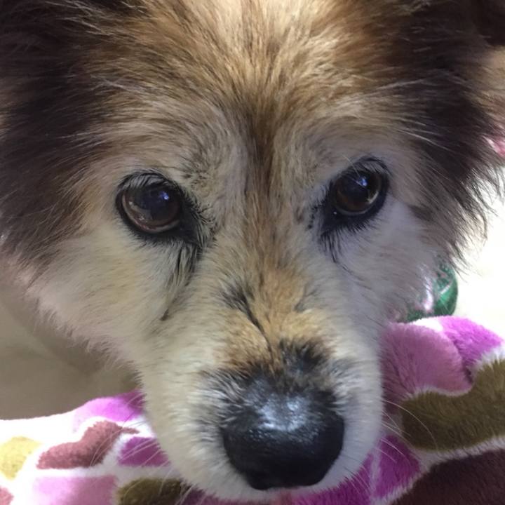 2c7a3eca 7113 4903 b3be c0637c02b42e 1604644224527