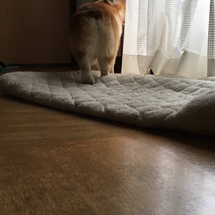 2c7a4bf7 3a3a 4b83 ad28 3e6b1f731766 1544801779621