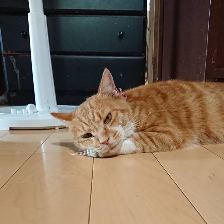 2c7a5500 654b 4f67 9c2d 122e2940c1da 1598663263431