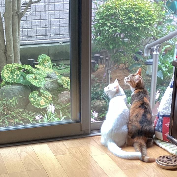 2c7a76a9 8d58 4dde 8ecd 43999307a6fa 1663792857351