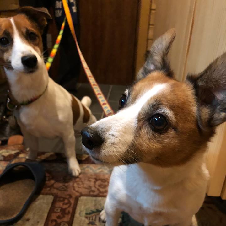 2c7a8c41 39c1 400c b393 878ac4ca9db5 1513689663595