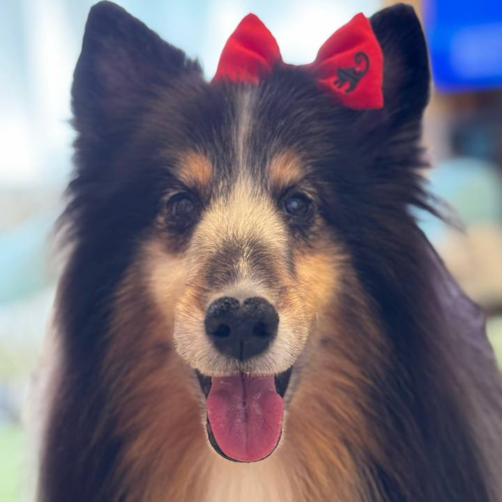 2c7abc6a 9abe 46b0 81e6 9320eff03708 1757954302438