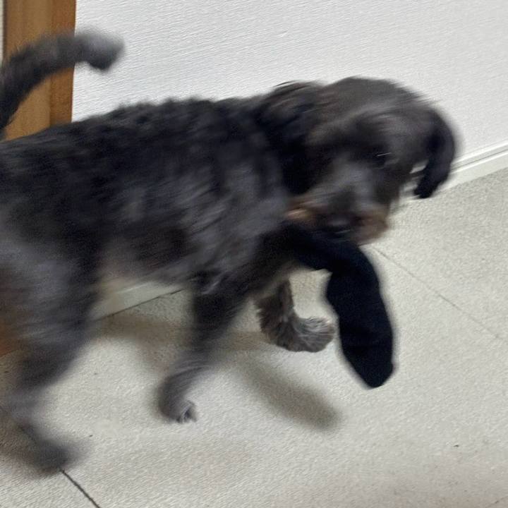 2c7b019a b40d 49eb 9af0 6055badb28a5 1761399340856