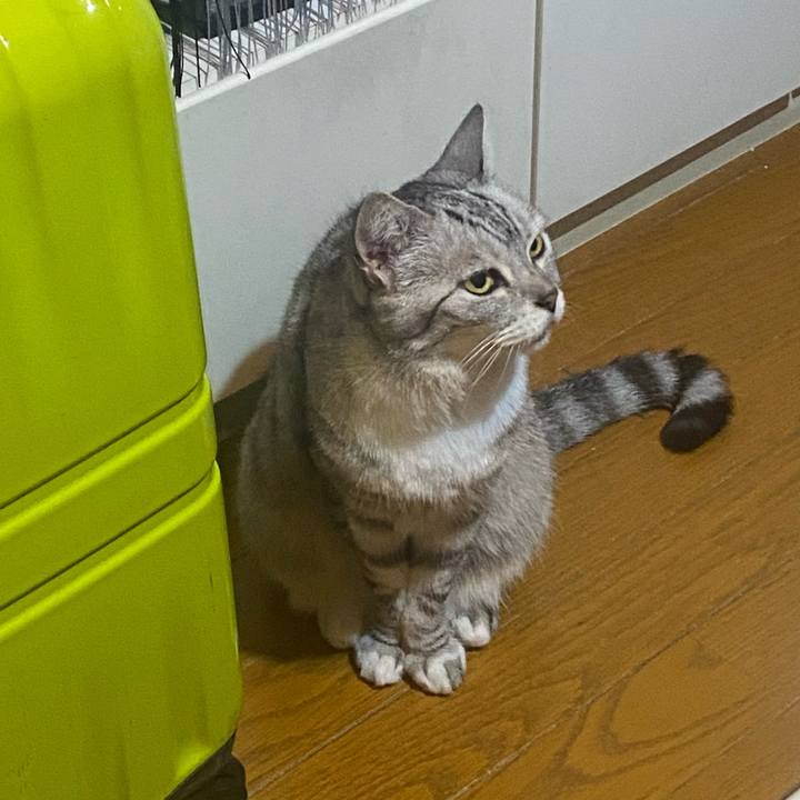 2c7b0401 dfcb 4c35 ad81 af6c375eec88 1719667709333