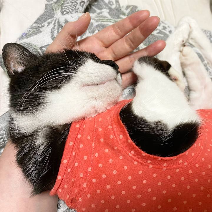 2c7b11aa 2d41 4fe0 8872 fe2127714a23 1598882219710