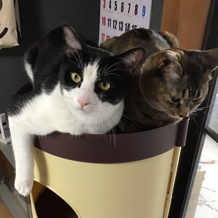 2c7b3413 e55b 43ef be6a ab424d7cc356 1657532721199