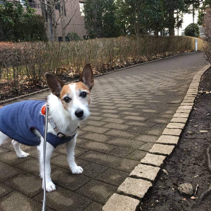 2c7b6d86 cf19 4e86 836d 39a0a9a825db 1611703554742