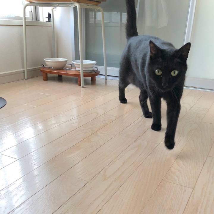 2c7b9bdb b84b 4fc4 b376 233750014d43 1521717357377