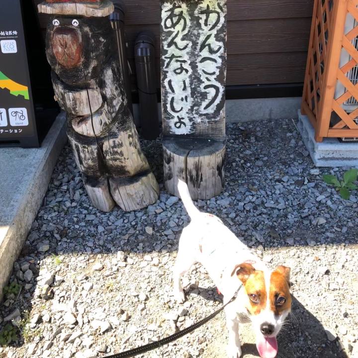 2c7bae9d 6b86 4700 aa65 9066a87677f3 1567825885443