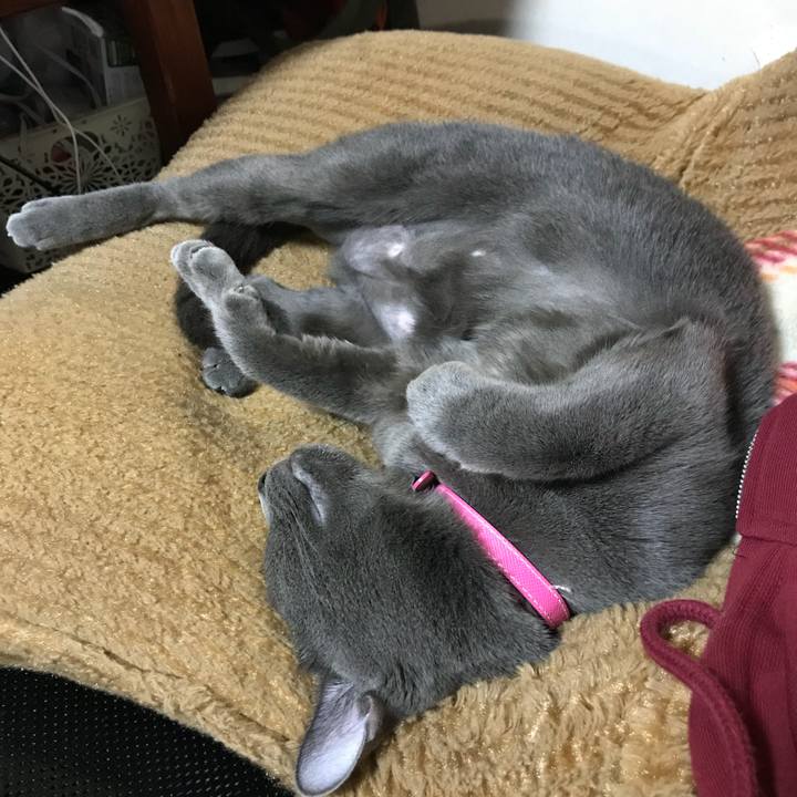 2c7bb563 fbaa 4058 bb14 942b65dc3068 1523485845191