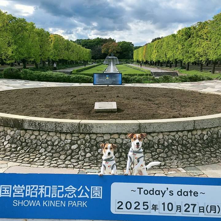 2c7bcb74 a045 4325 afd8 95f59633daab 1761553400351