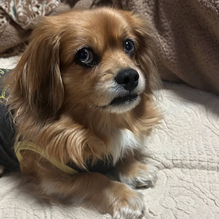 2c7c0f58 aa51 4fcd bb4a e2751865a21d 1676496964081