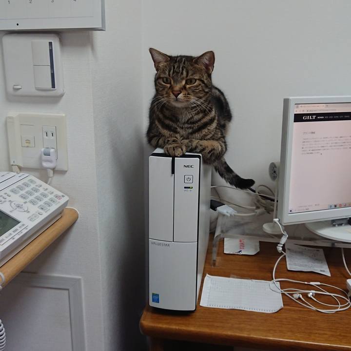 2c7c1eae 5fd3 4dae 906f 54d85913c2ec 1583932691764