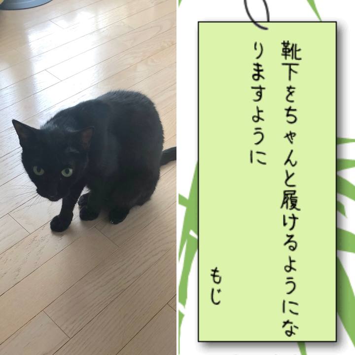 2c7c3c39 0a56 466e 96d1 f7268b0e54cd 1530959512856