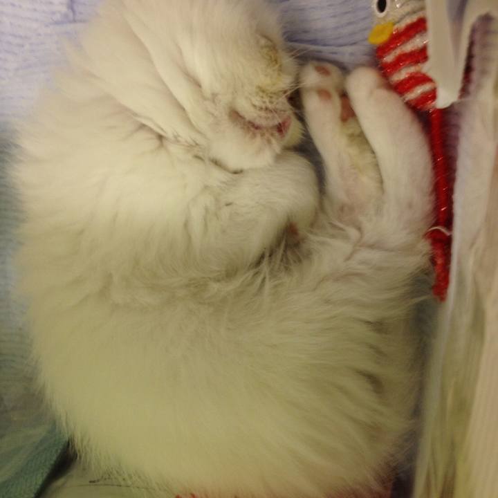 2c7c44ac f207 49b3 ae1b 4c35a133b510 1537716269492