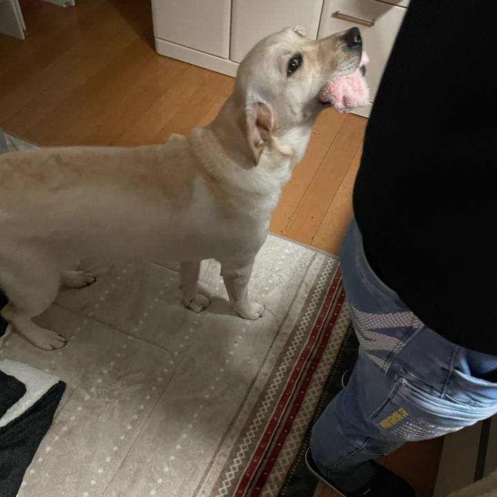 2c7c6ddd 7544 4506 a7c2 52ea4d0406b6 1640642047643