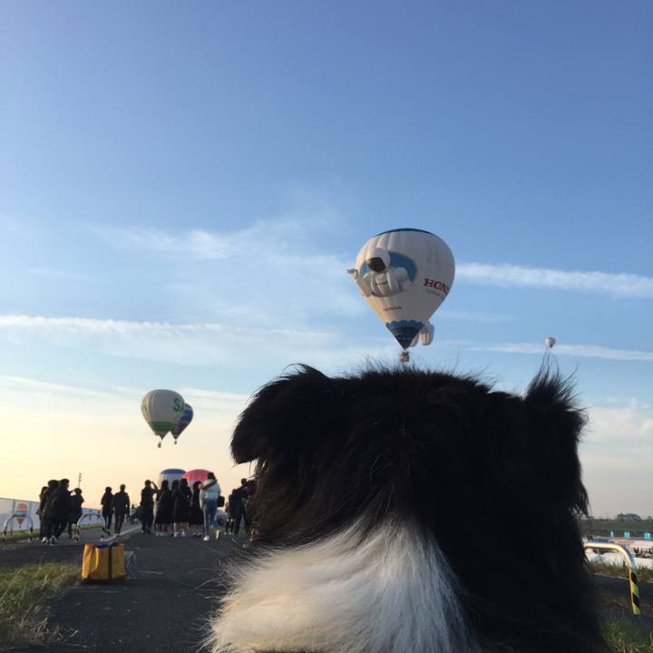 2c7c7562 0e47 4282 8a0d fea35a053092 1572562634072