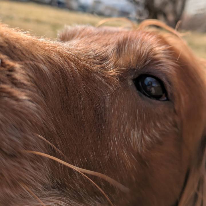 2c7c7637 5058 4084 aaa3 92740a17aa5e 1773122791426