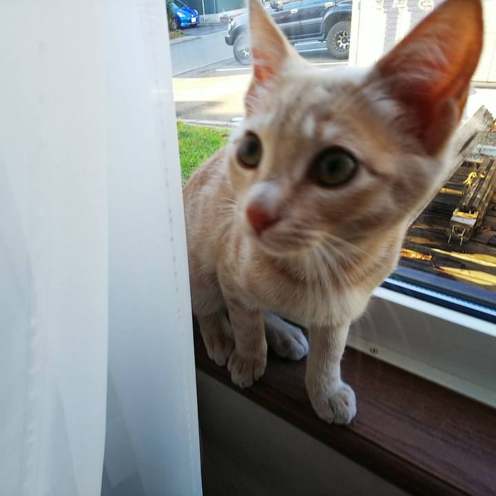 2c7c7ec1 bb59 4850 9877 e5411baafefd 1542408724772