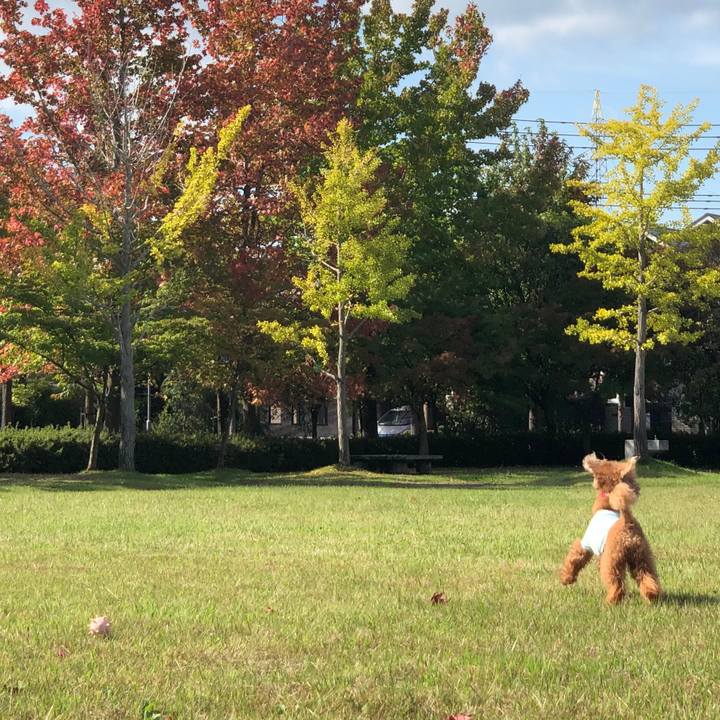 2c7cc581 28ab 4dbf 9d1e f09667ec61c3 1602645901964