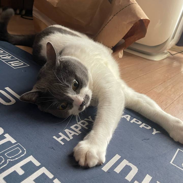 2c7d22f6 6b12 4403 a5c0 ffc5bea10df0 1721001427641