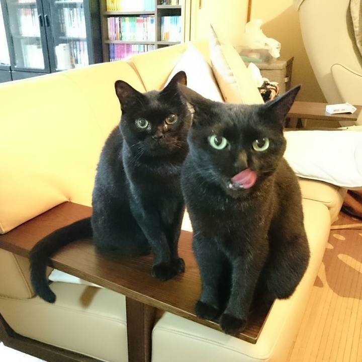 2c7d2921 37f1 4ff1 9ab8 81184286c82b 1519352734372