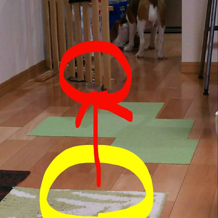 2c7d3831 629b 41d5 b4f5 3a4d95d65035 1535547393496