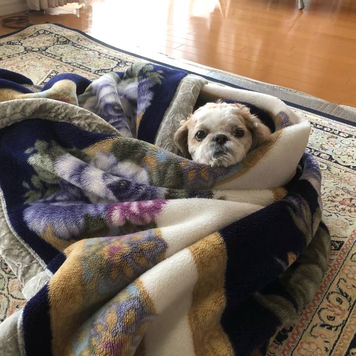 2c7d44ef 0e15 4e59 97d2 25ca65d9111e 1611698389537