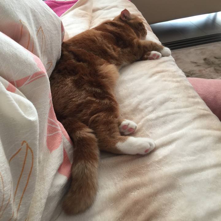 2c7d664e 42a0 496e b7cf 03f3b77e1de0 1511913891646