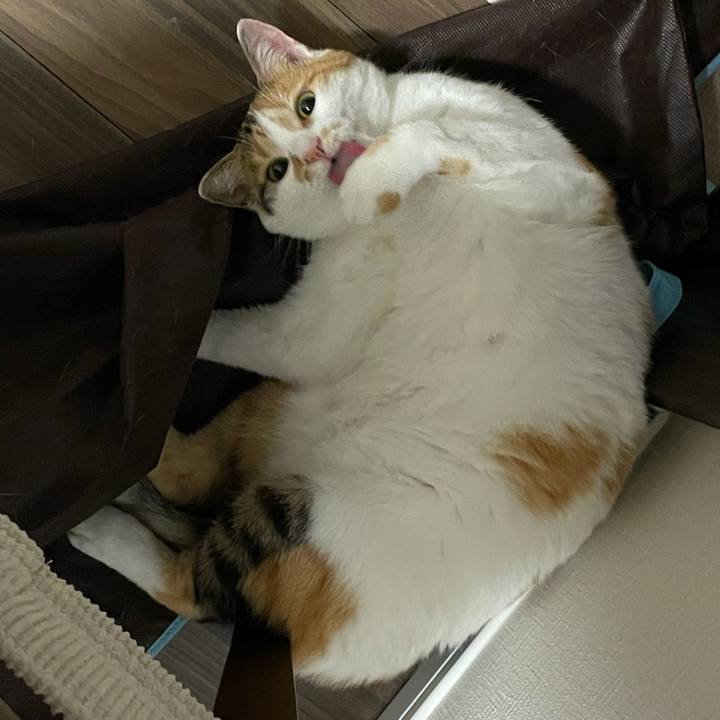 2c7dccaa f124 4022 b57e 02435d195fc9 1623939194936