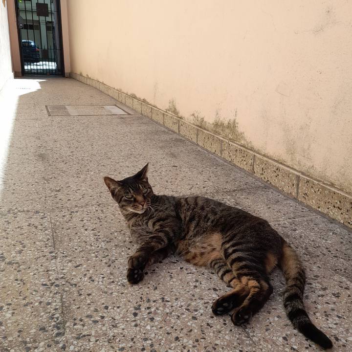 2c7dcda3 265f 4bb1 ac34 9d00a3624175 1759792022612