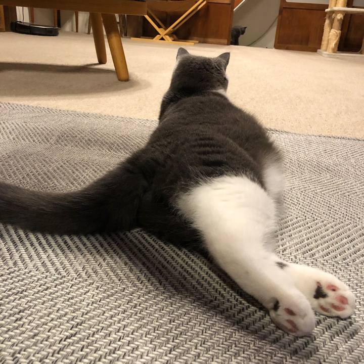 2c7dfca3 c2be 4e89 b641 1a6f45fb9952 1567652024162