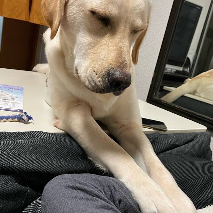 2c7e0d89 78b3 4113 a25f 76437fe8b8f2 1640527765549