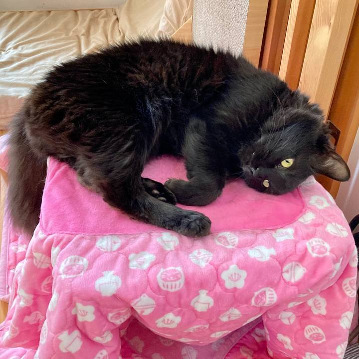 2c7e27fd bd92 470a 9a4c d2ccff5b3d5b 1744100131950